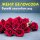 Песня Женя Белоусова - Букет красивых роз